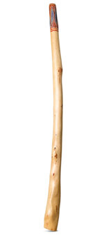 Heartland Didgeridoo (HD455)
